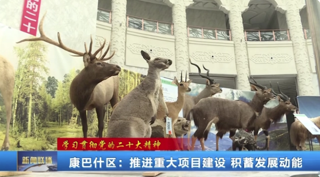 微信截图_20230428162704