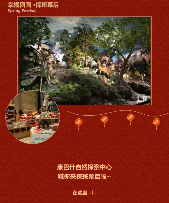 春节—元宵我在岗｜探访康巴什自然探索中心“大后方”，致敬“偷偷”守护年味的文博人！